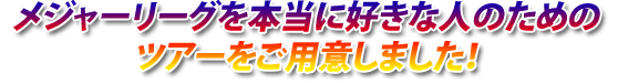 メジャーリーグを本当に好きな人のためのツアーをご用意しました。